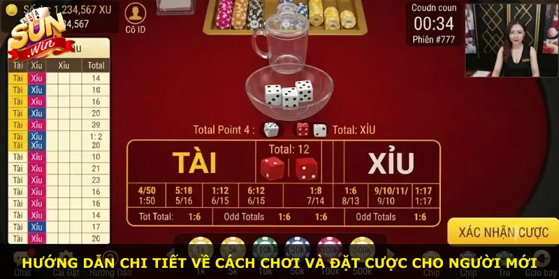 Hướng dẫn chi tiết về cách chơi và đặt cược cho người mới