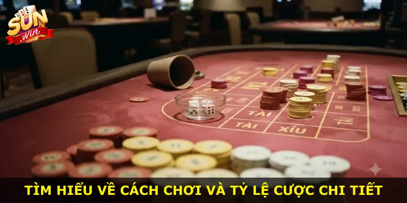 Tìm hiểu về cách chơi và tỷ lệ cược chi tiết